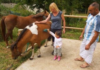  Descubrimiento del club de ponis 